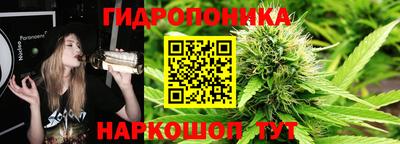 твердый Заводоуковск