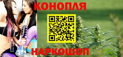 твердый Заводоуковск