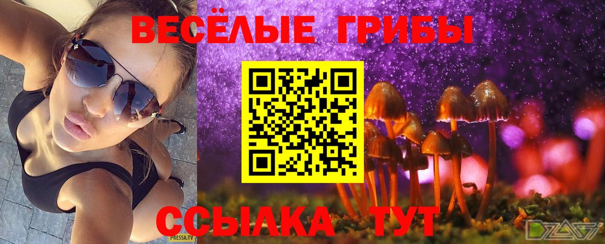Лянтор  где купить наркоту  Вход с VPN  Галлюциногенные грибы Psilocybe 